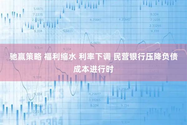驰赢策略 福利缩水 利率下调 民营银行压降负债成本进行时